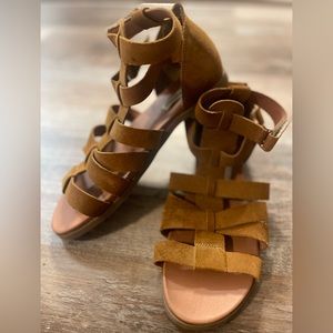 Steve Madden Gali Gladiator Sandal. Brown. Size 8.5